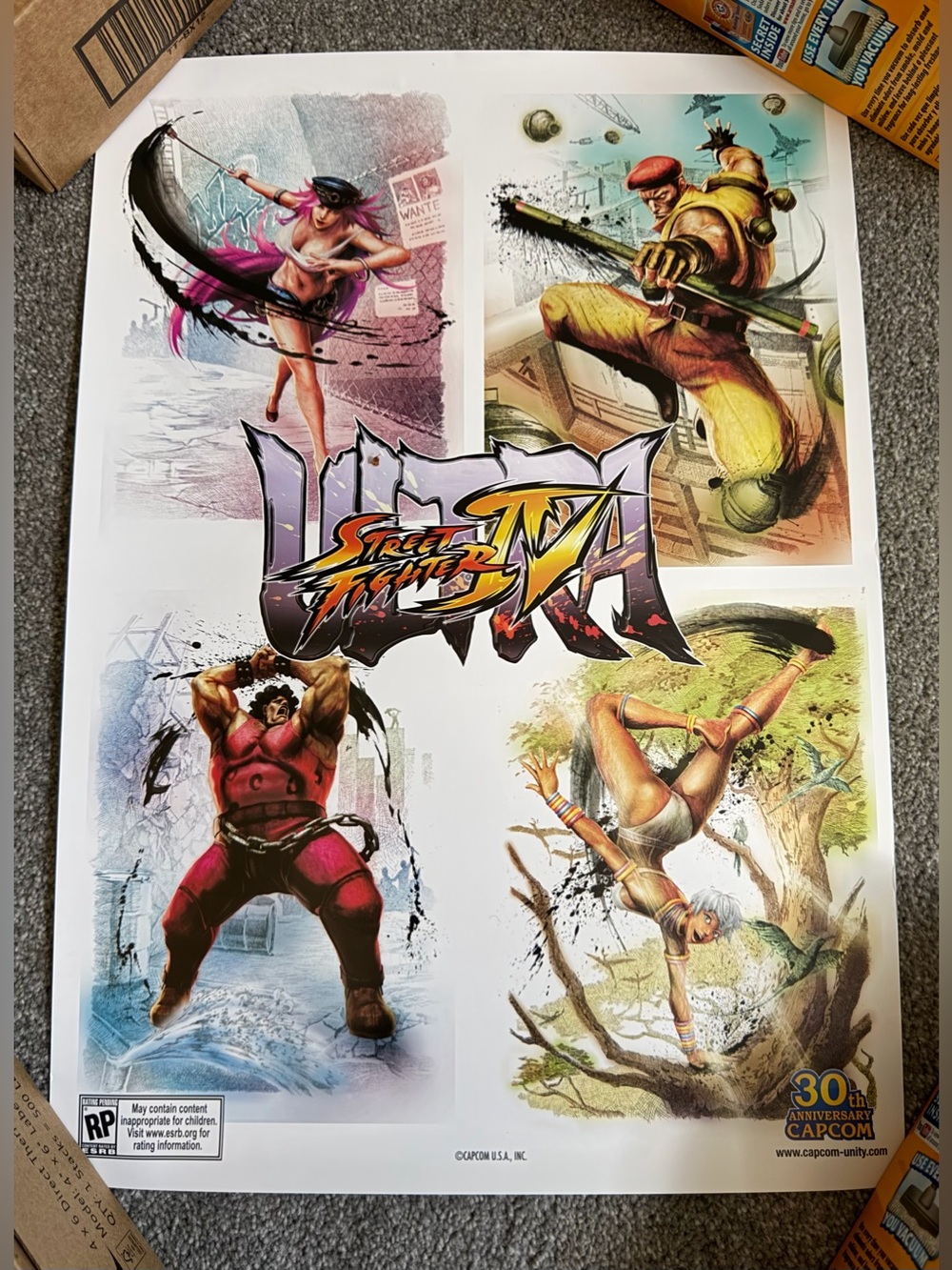 E3 2012 Street Fighter IV Ultra 30th Anniversary Capcom Exclusive Poster RARE